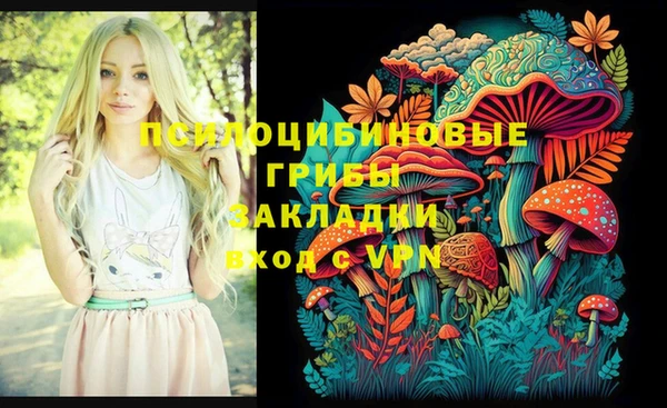 spice Балабаново