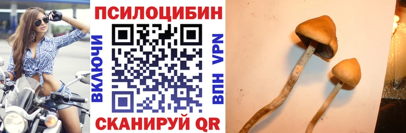 Галлюциногенные грибы Psilocybine cubensis  цены   omg tor  Белинский 